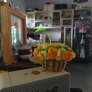 Crochet Flower Coaster Bouquet