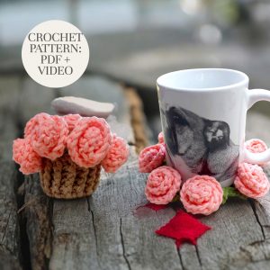 Crochet Rose Coaster Basket Tutorial for Beginners